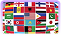 flag image